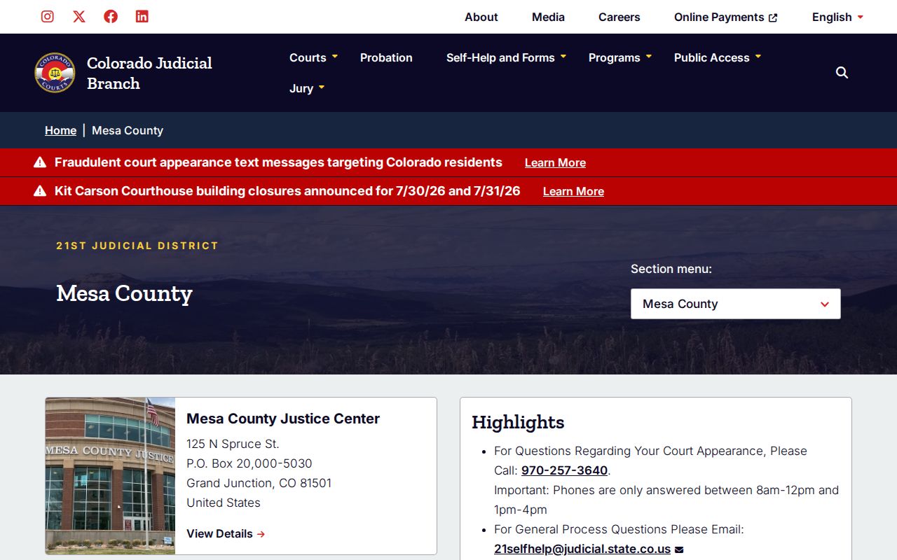 Mesa County criminal history court access page